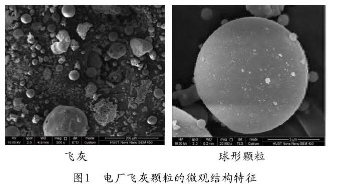 图1 电厂飞灰颗粒的微观结构特征